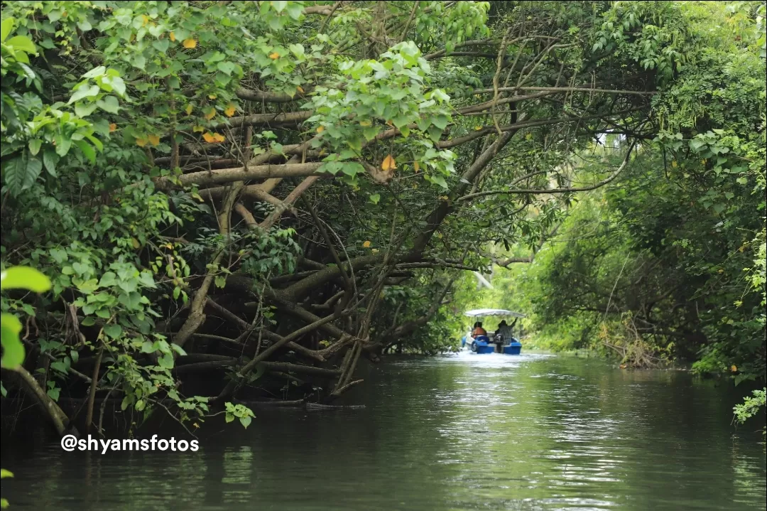 Photo of Backwaters Kerala By Shyam S. Rajpoot