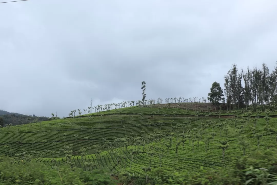 Photo of Ooty By Shyam S. Rajpoot