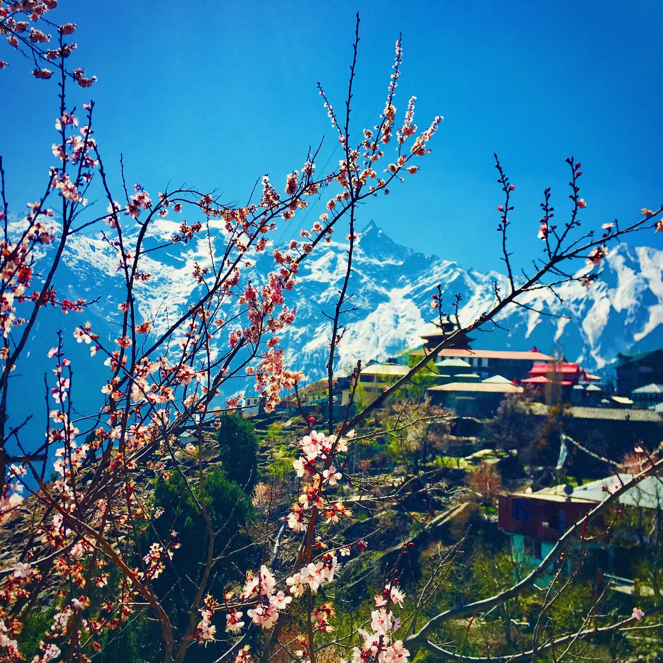 Photo of Kalpa By Yinkmin 