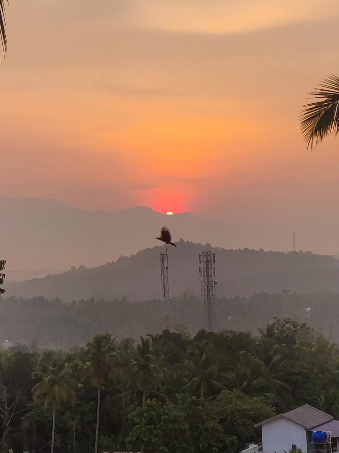 Photo of IIM Kozhikode By Abhishek Singh