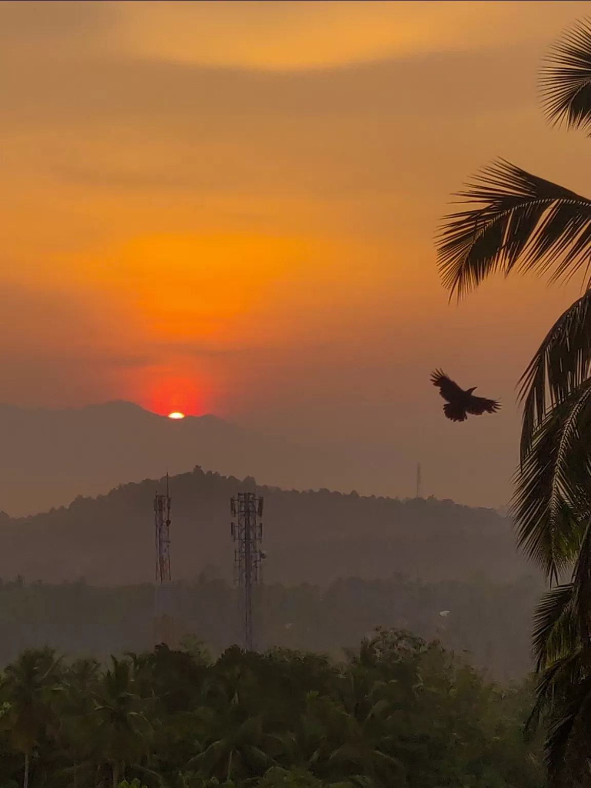 Photo of IIM Kozhikode By Abhishek Singh