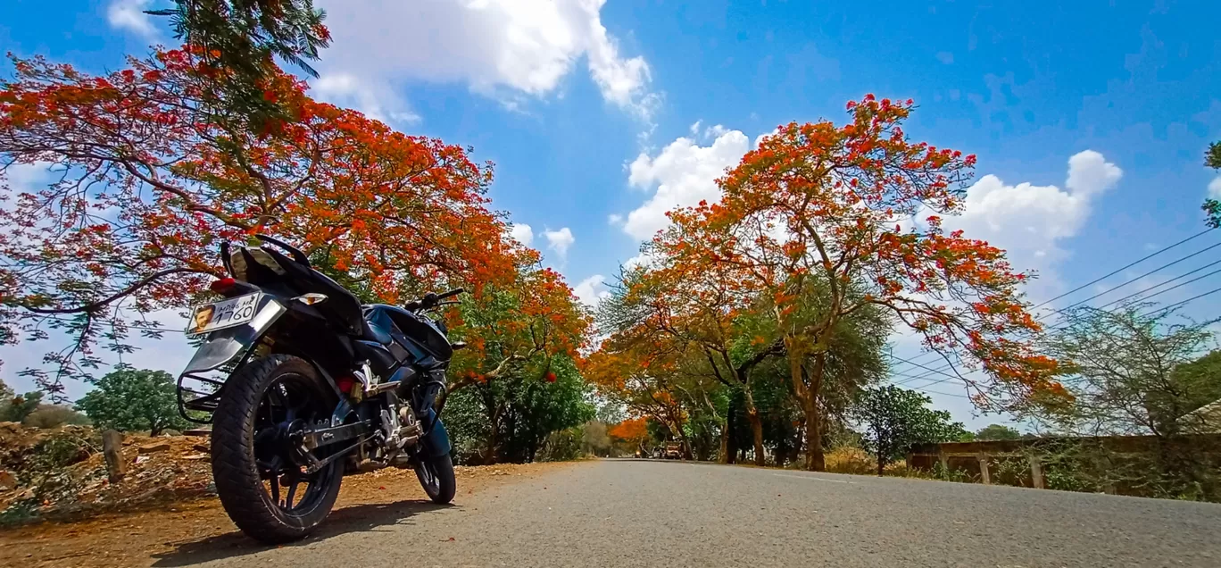 Photo of Nivali By Sandip Verma