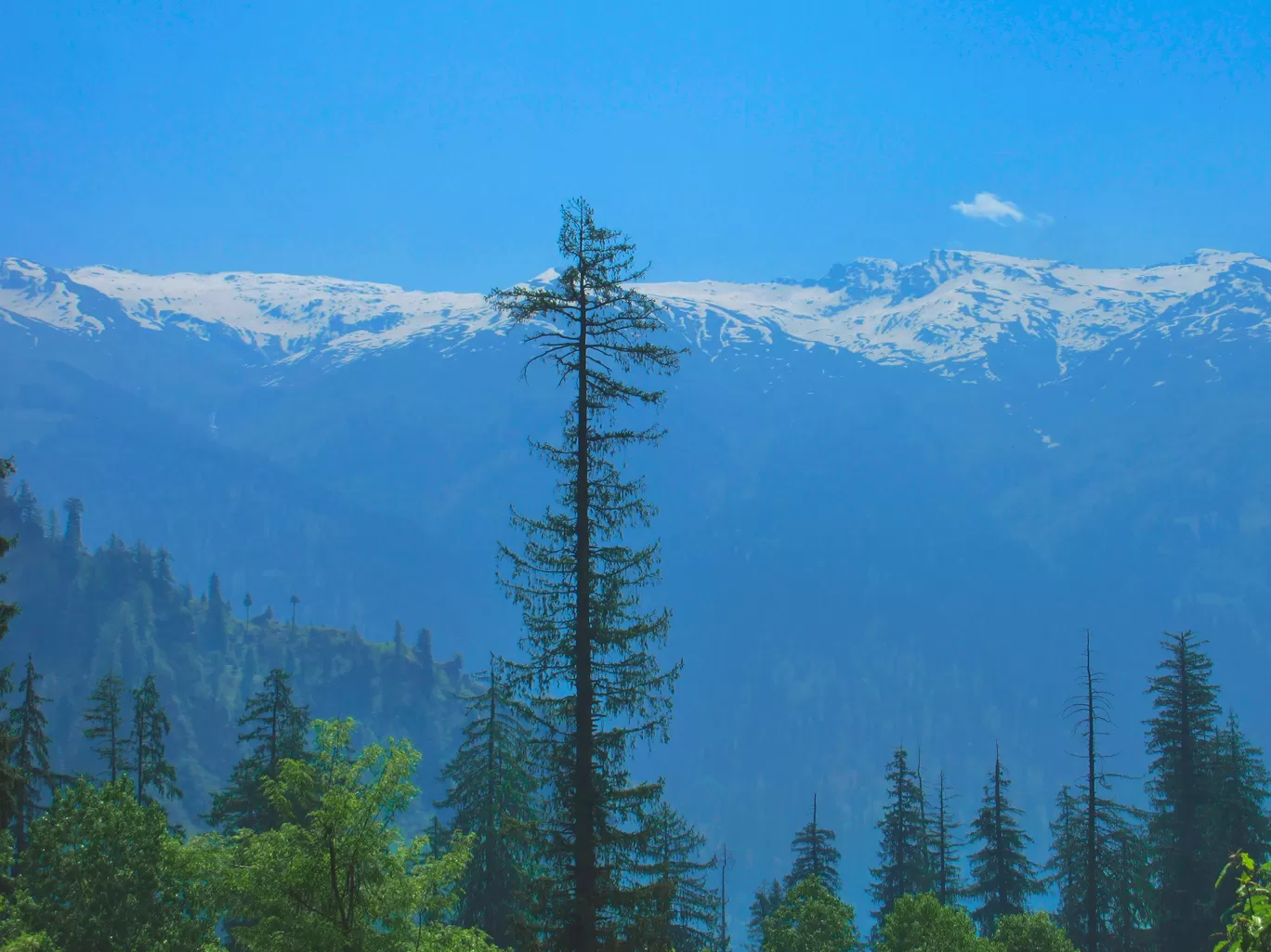 Photo of Manali By Vikas Verma