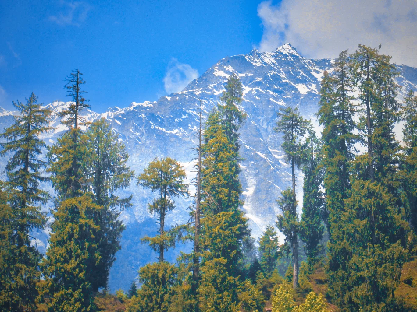 Photo of Manali By Vikas Verma