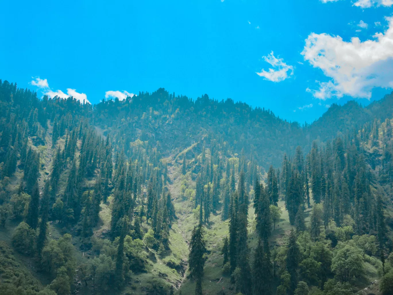 Photo of Manali By Vikas Verma
