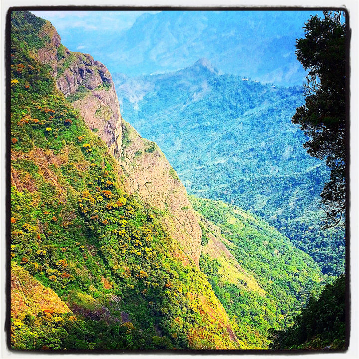 Photo of Kodaikanal Quick Scan By Sanjay Veetil