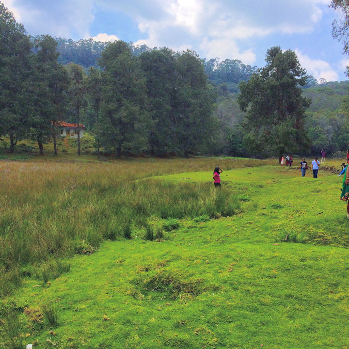 Photo of Kodaikanal Quick Scan By Sanjay Veetil