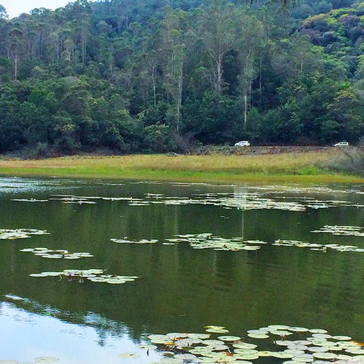 Photo of Kodaikanal Quick Scan By Sanjay Veetil