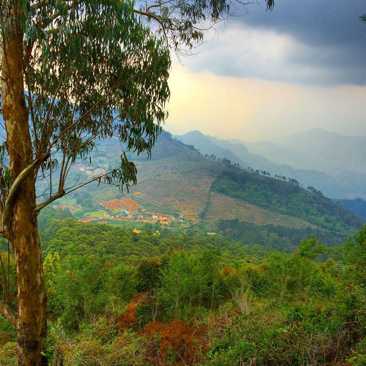 Photo of Kodaikanal Quick Scan By Sanjay Veetil