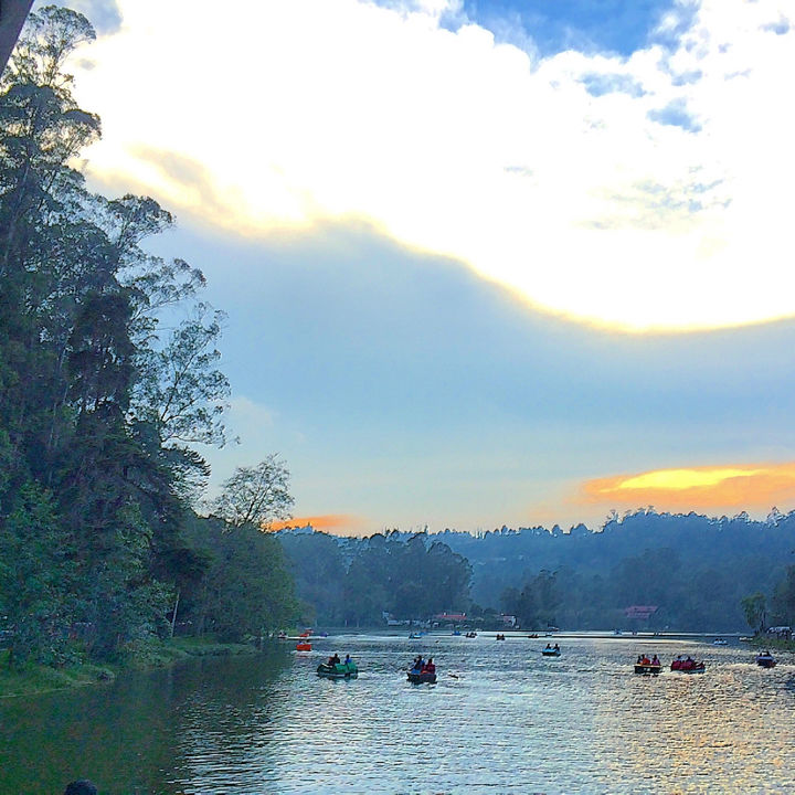 Photo of Kodaikanal Quick Scan By Sanjay Veetil