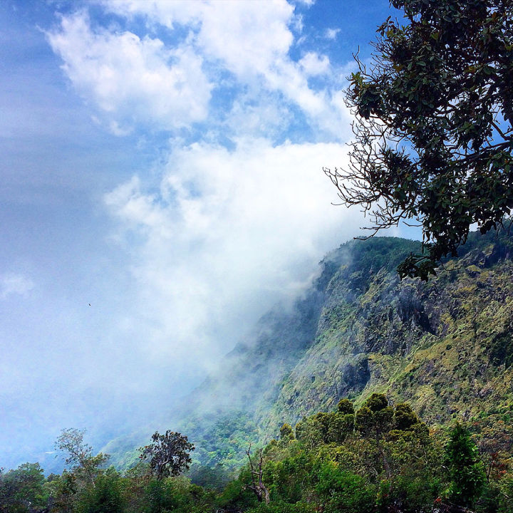 Photo of Kodaikanal Quick Scan By Sanjay Veetil