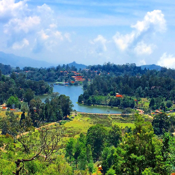 Photo of Kodaikanal Quick Scan By Sanjay Veetil