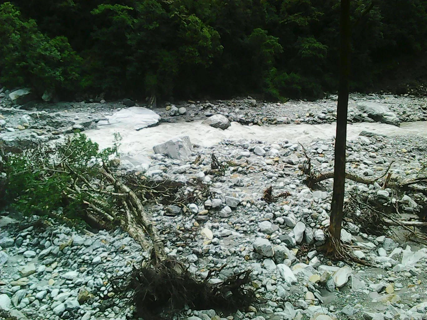 Photo of Chamoli By Raven V. Rockafellar