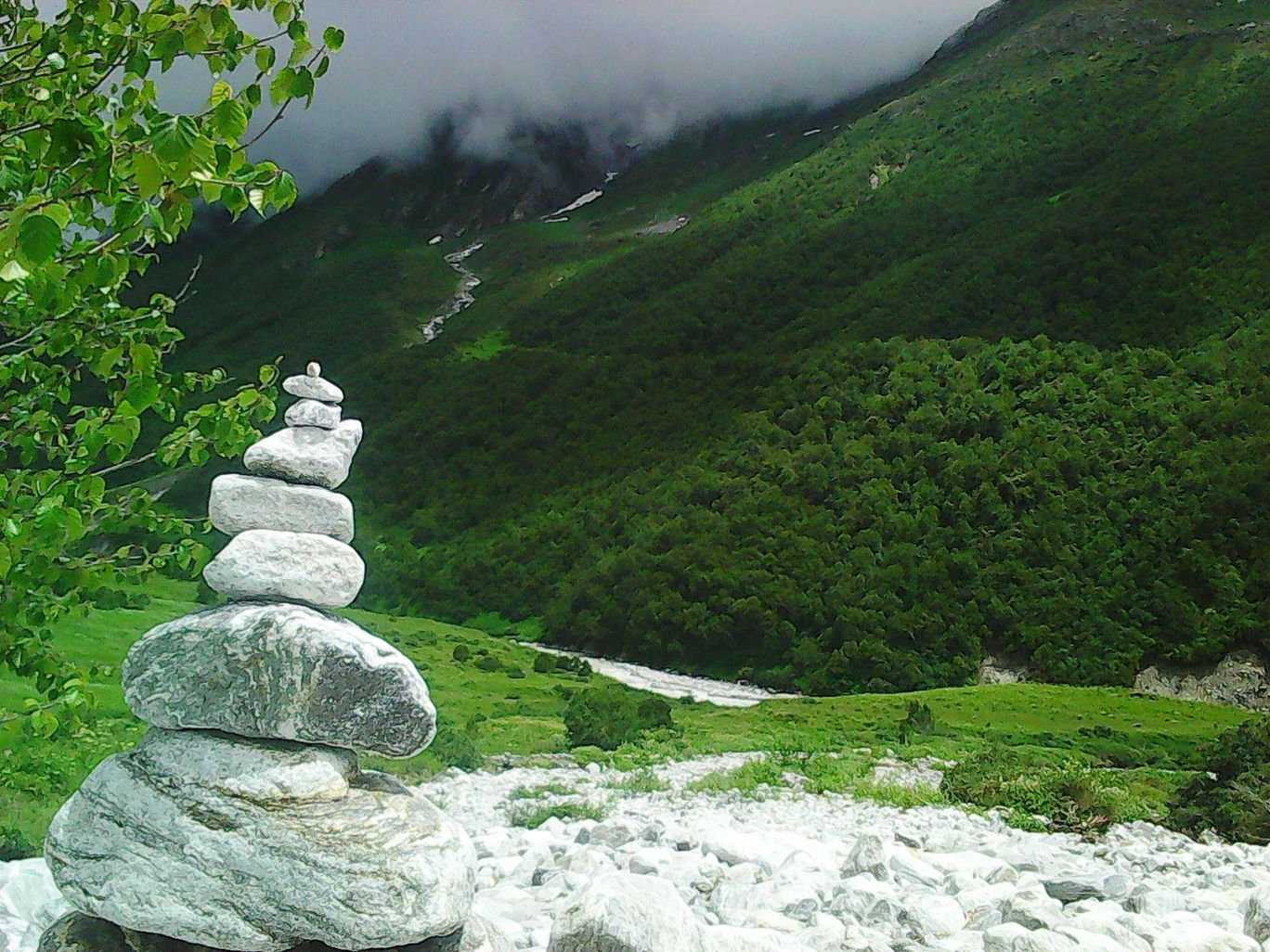 Photo of Valley of Flowers By Raven V. Rockafellar