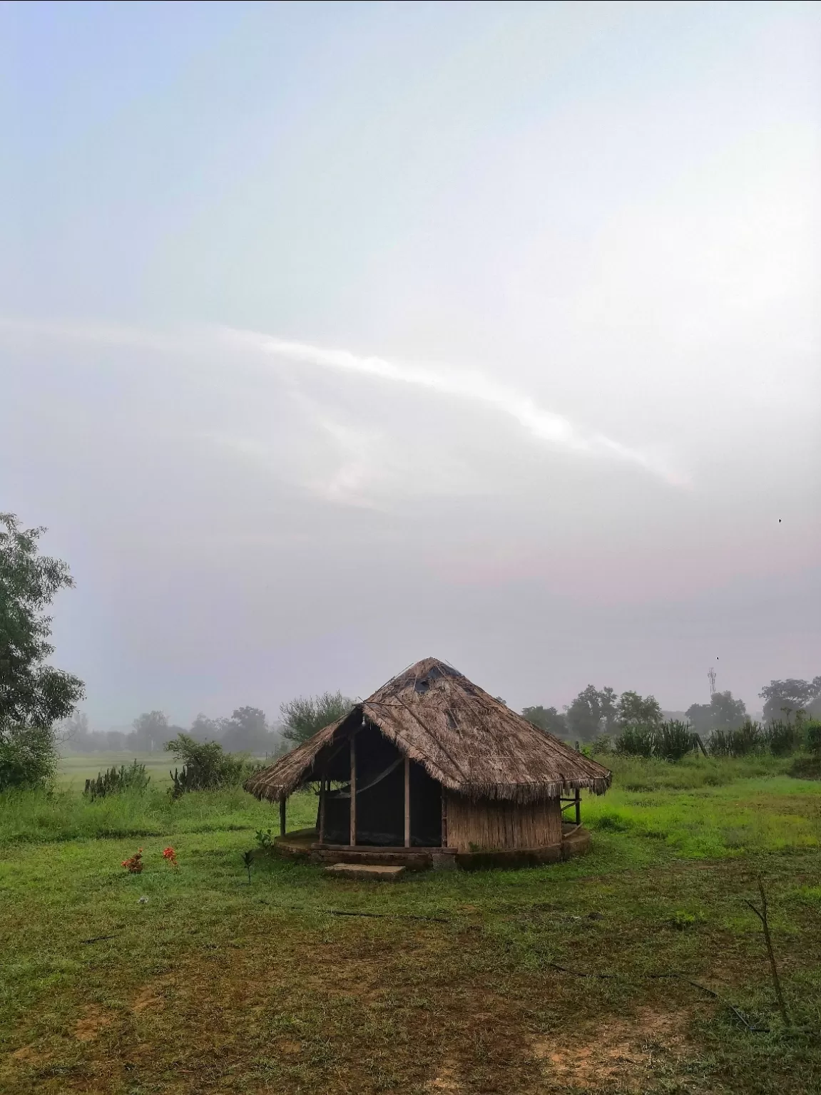 Photo of Tranquil Meadows By Pedal All The Way