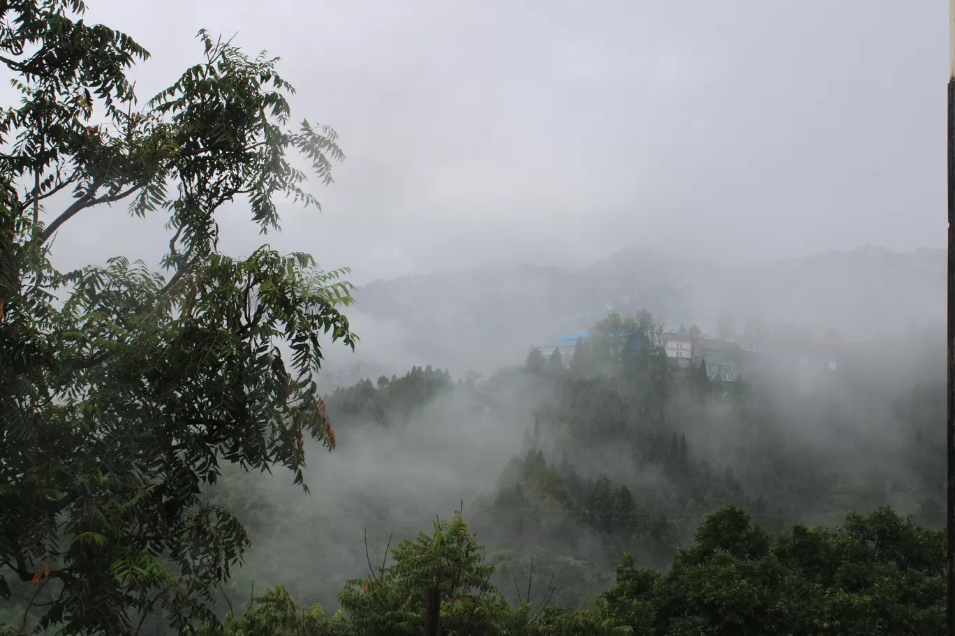 Photo of Mussoorie By siddhant thapa