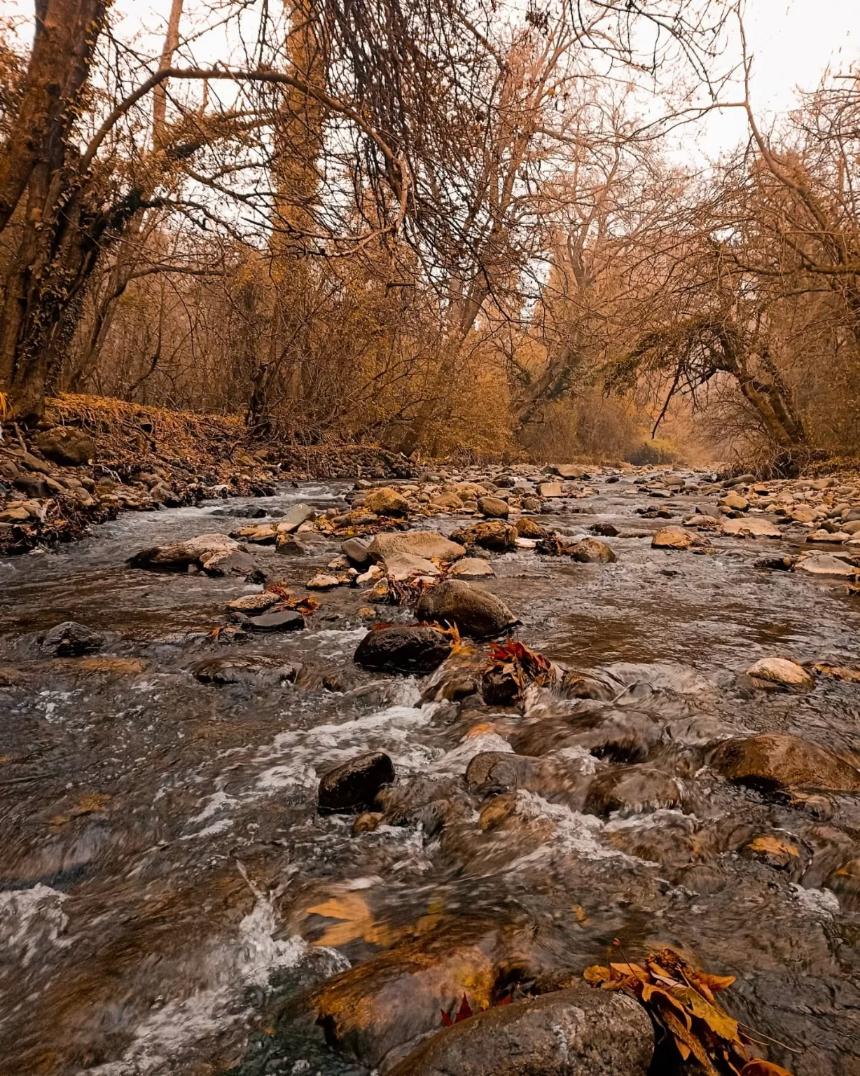 Photo of Dachigam National Park Road By DANISH ALI