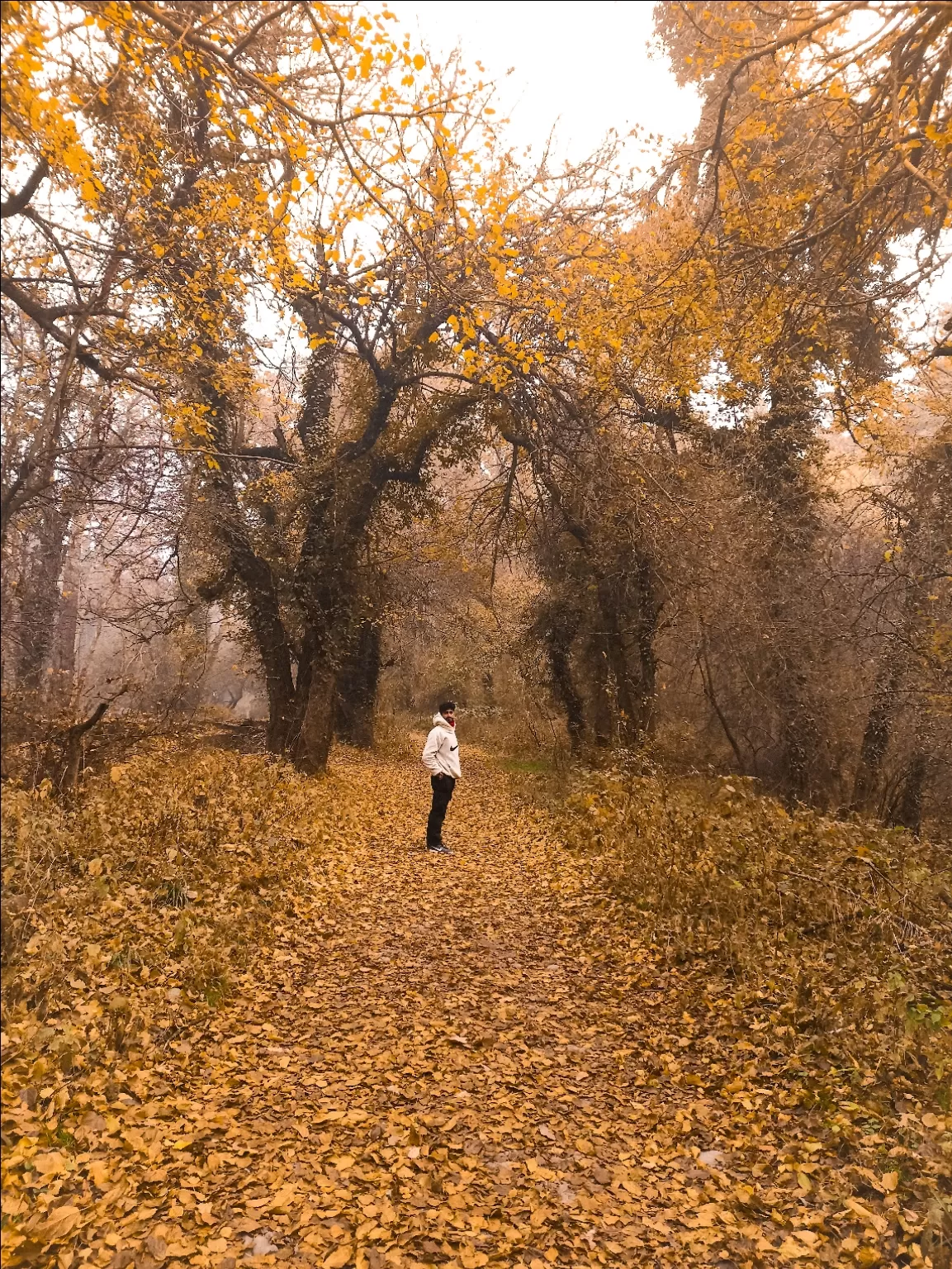 Photo of Dachigam National Park By DANISH ALI