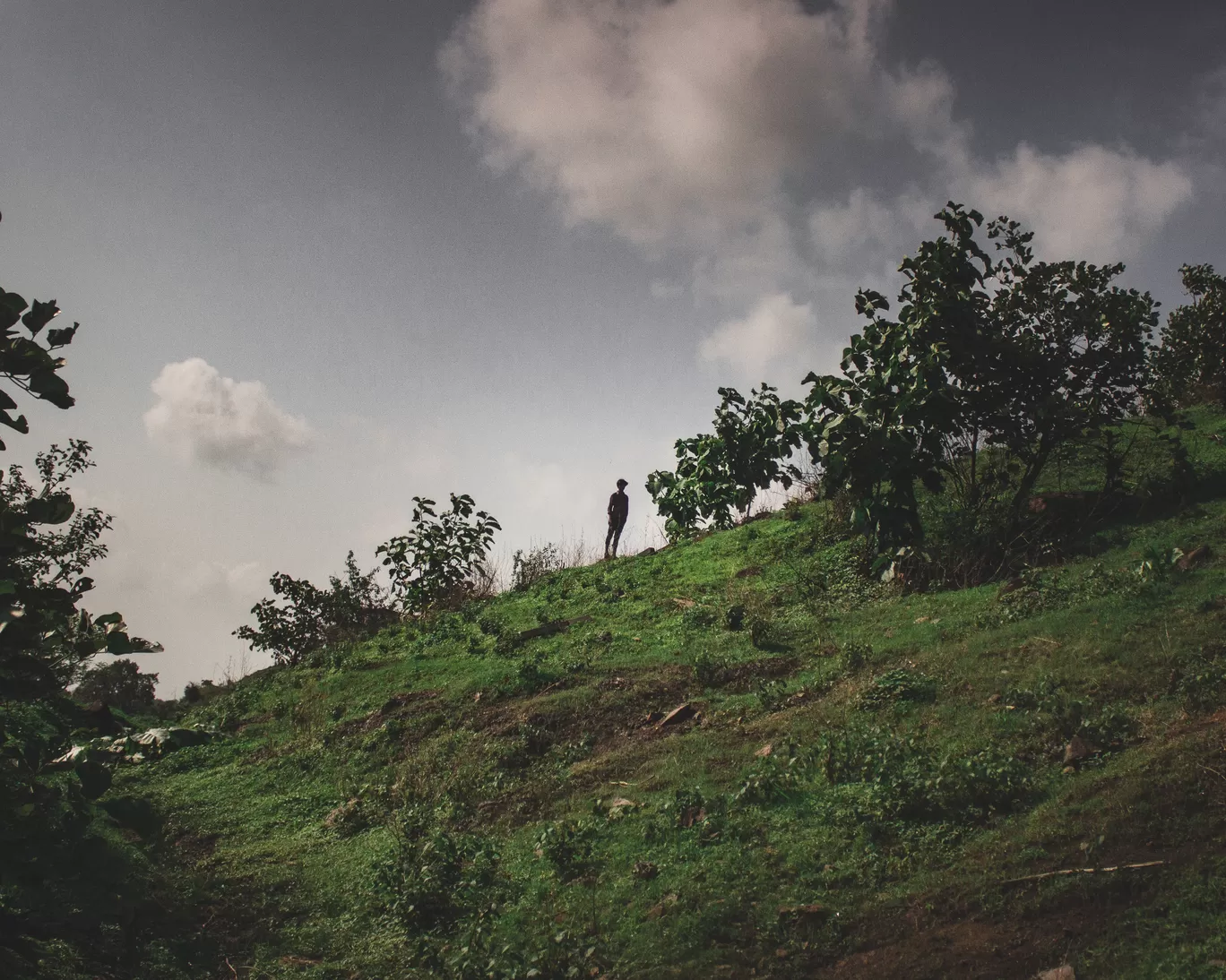 Photo of India By Kshitish Pandey