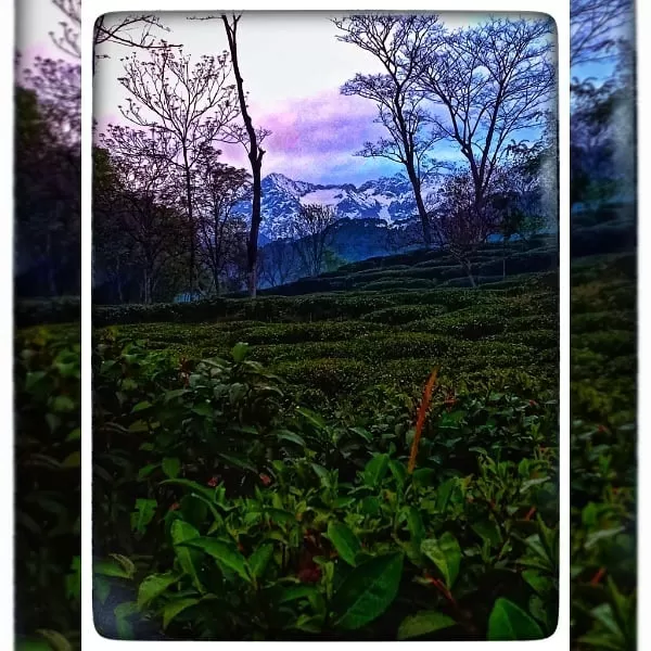 Photo of Dalhousie By Anmol chaudhary