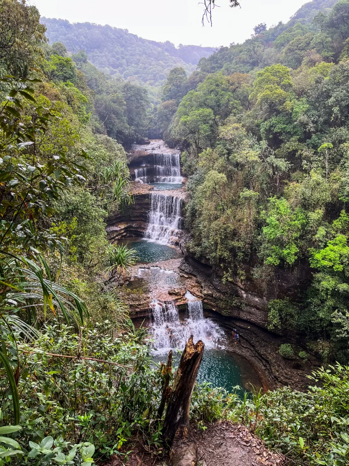 Photo of Cherrapunji By Joyee Bose