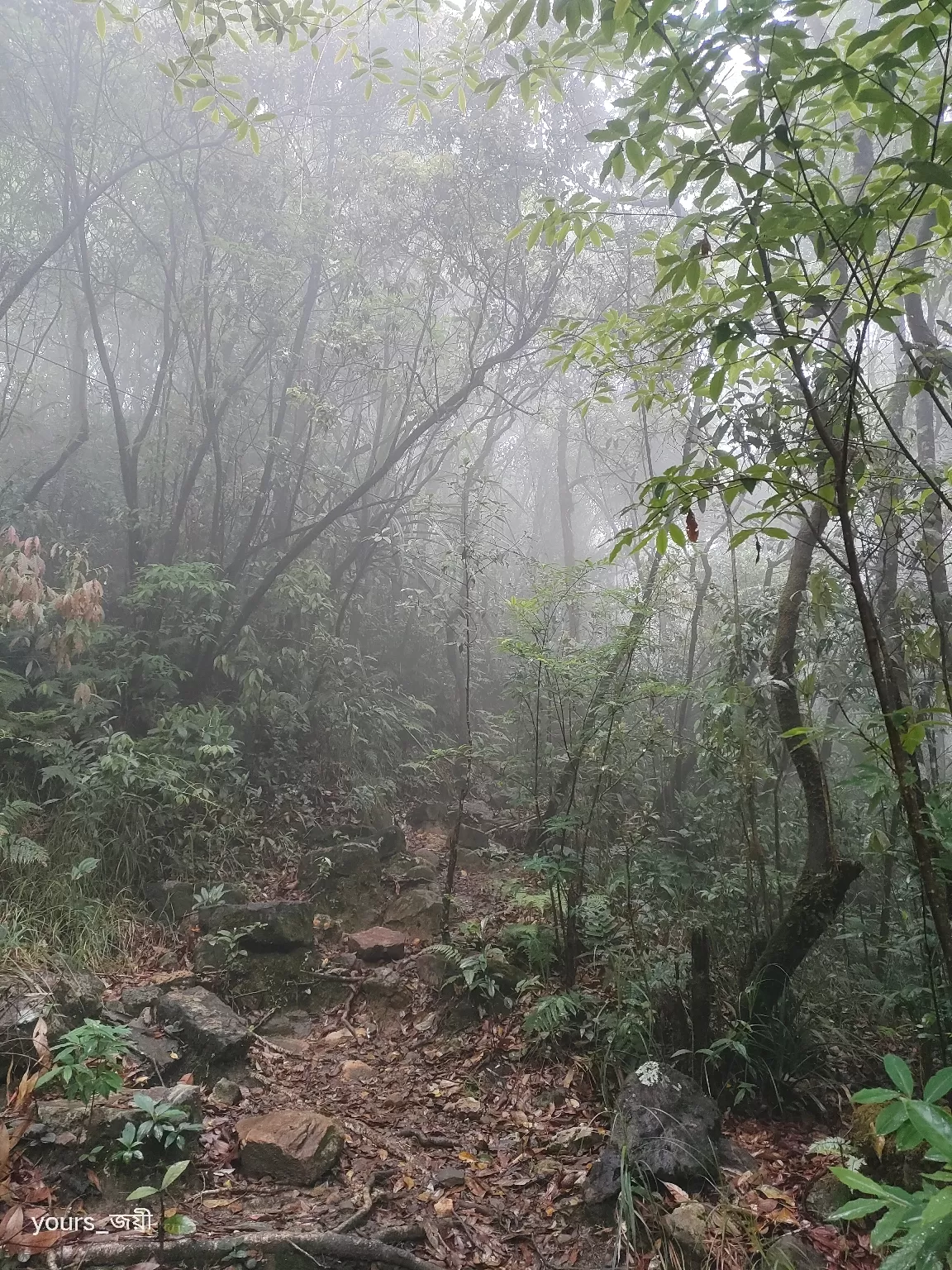 Photo of Cherrapunji By Joyee Bose