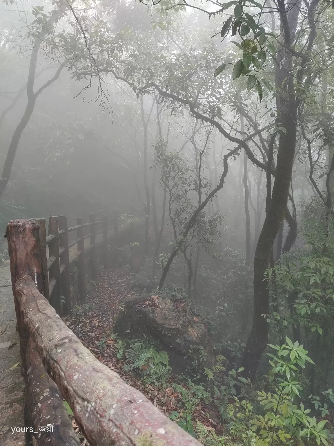 Photo of Cherrapunji By Joyee Bose