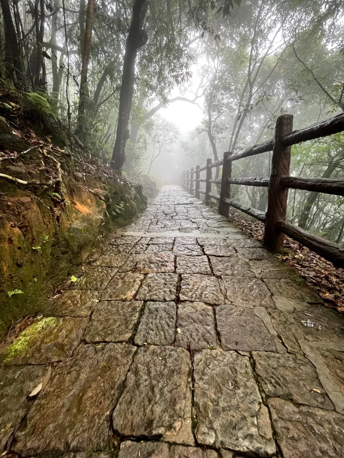 Photo of Cherrapunji By Joyee Bose