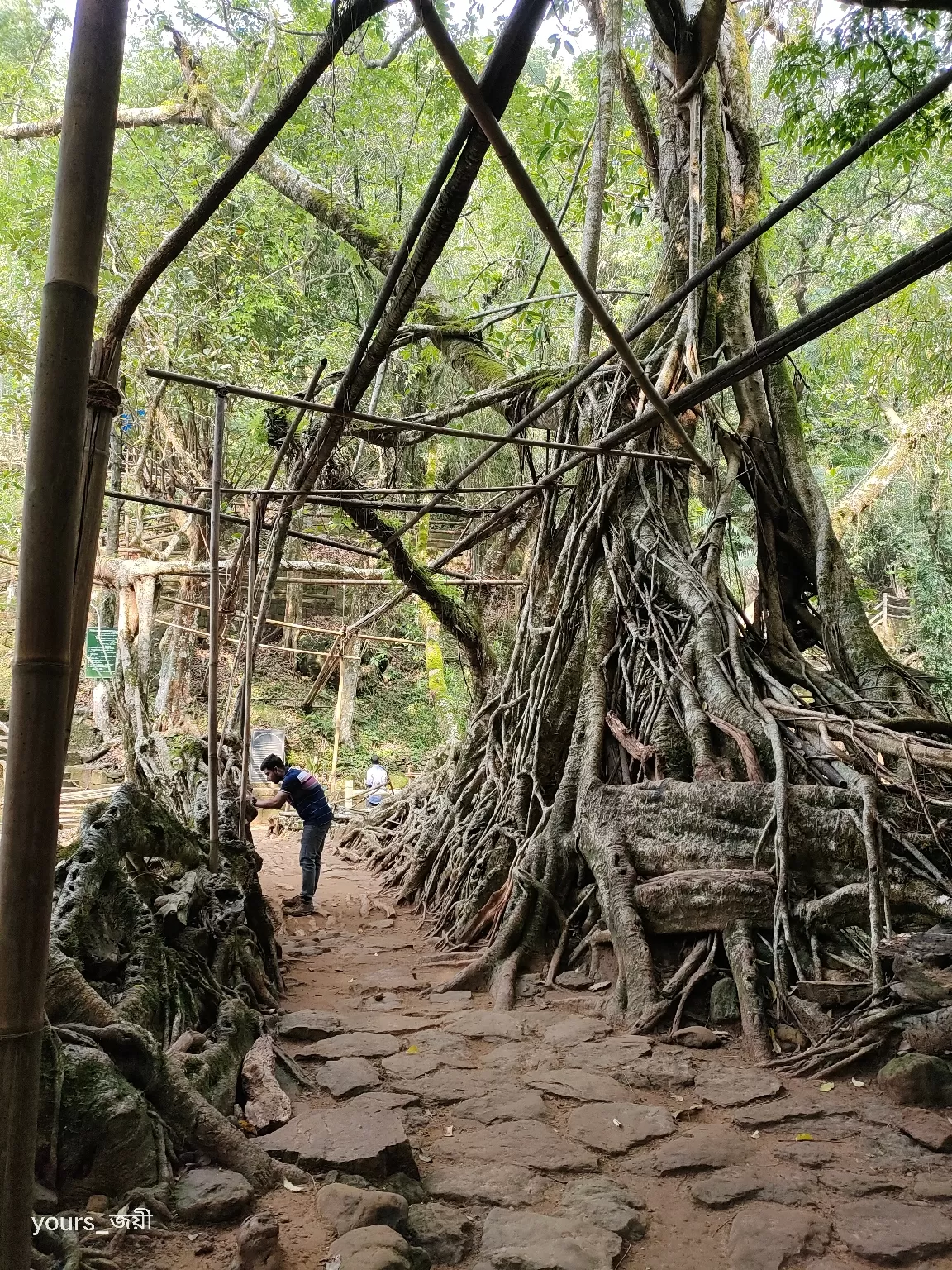 Photo of Cherrapunji By Joyee Bose