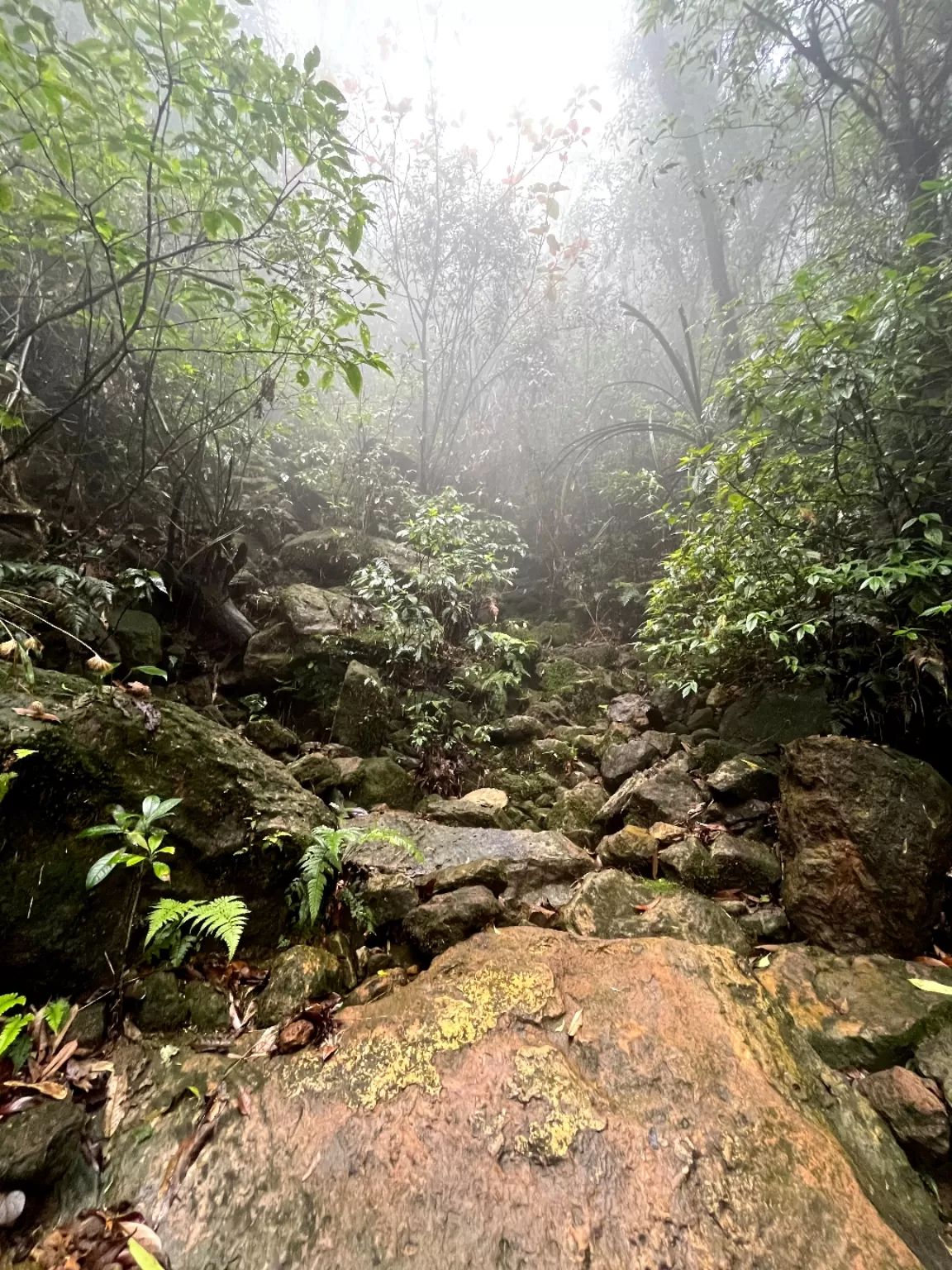 Photo of Cherrapunji By Joyee Bose
