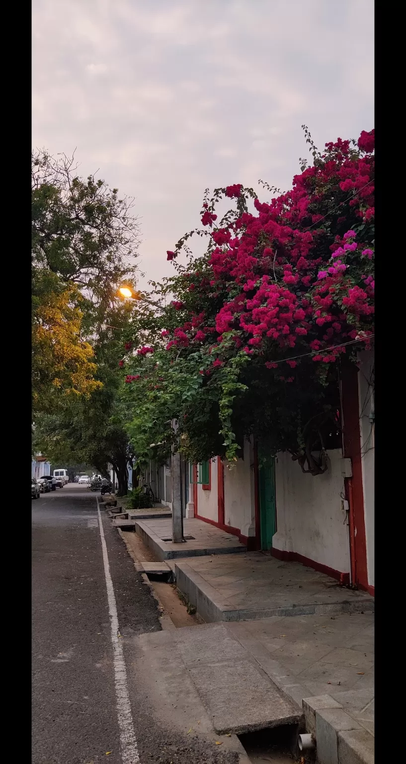 Photo of Pondicherry By Divya Jarabala