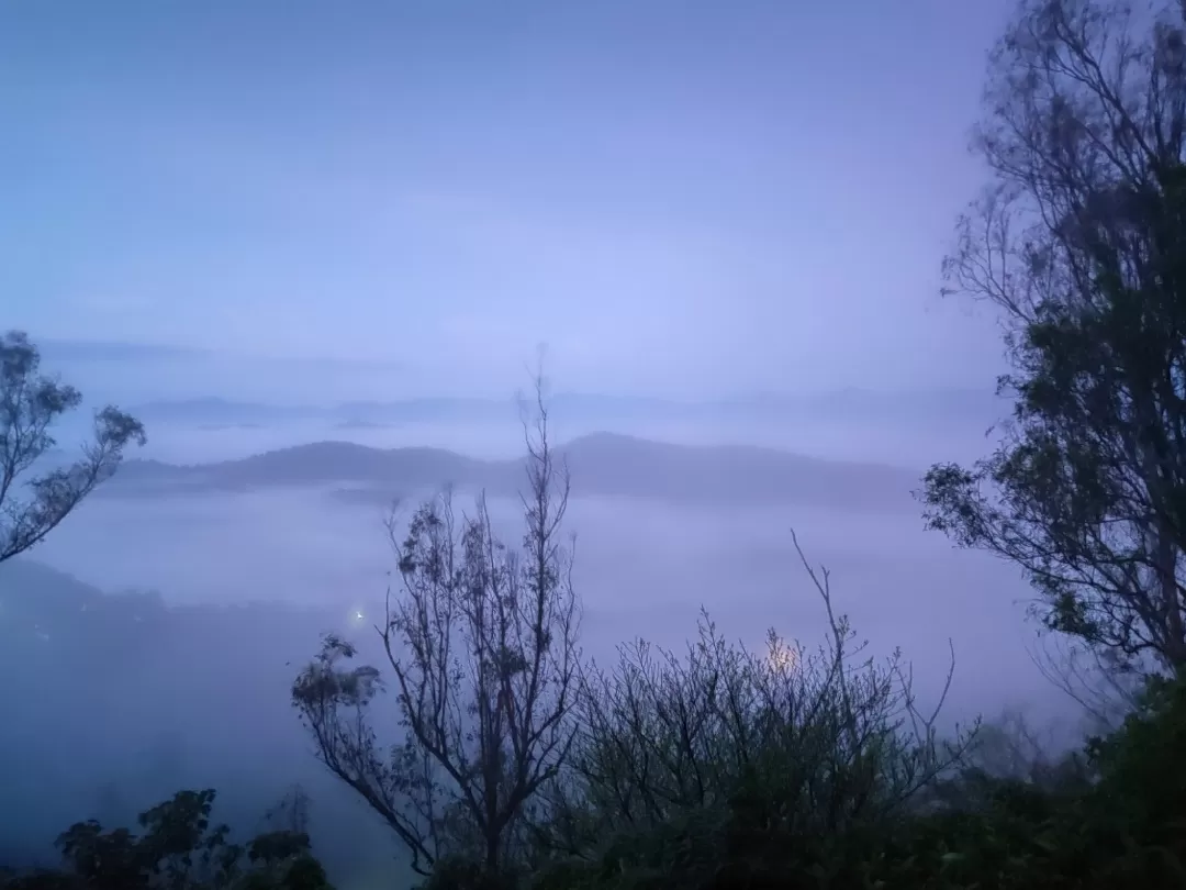 Photo of Coorg By Off beat wanders