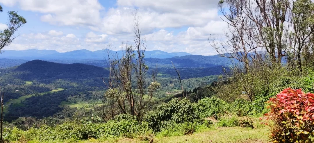 Photo of Coorg By Off beat wanders
