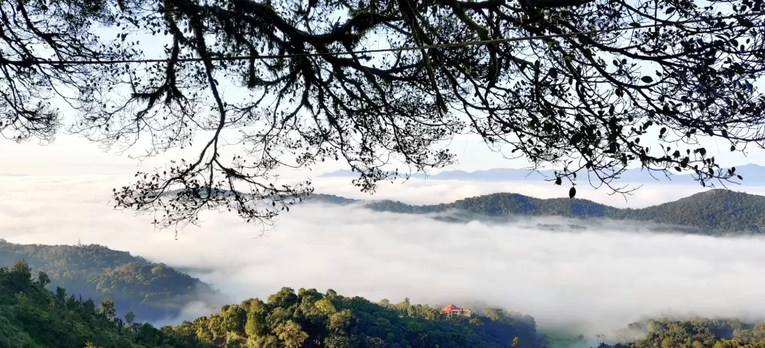 Photo of Coorg By Off beat wanders