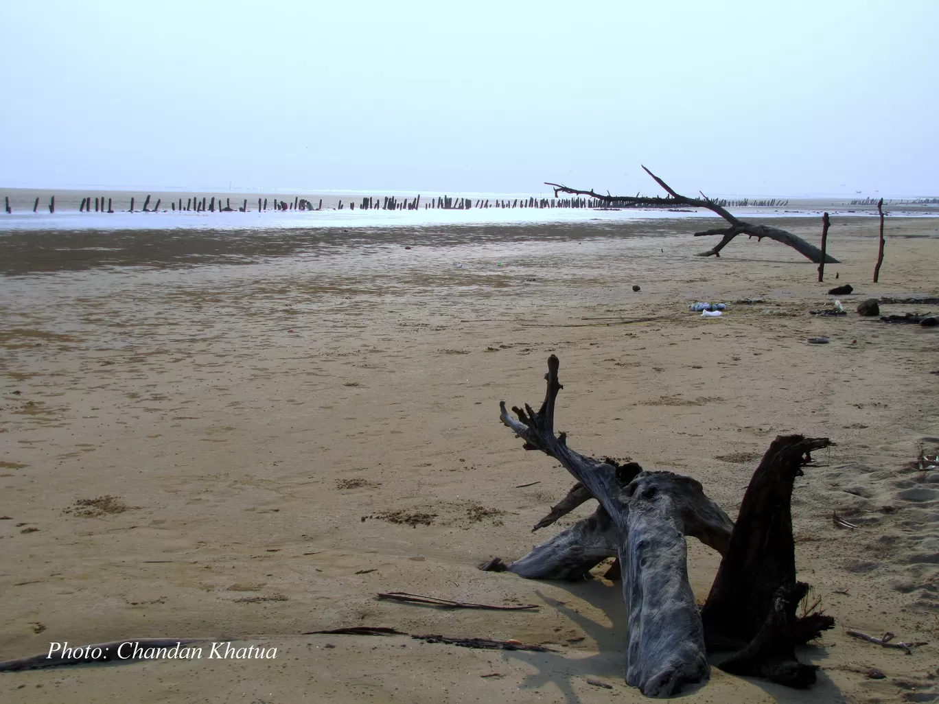 Photo of Shankarpur By Chandan Khatua