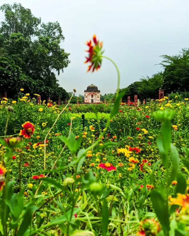 Photo of Sunder Nursery By Akhilesh