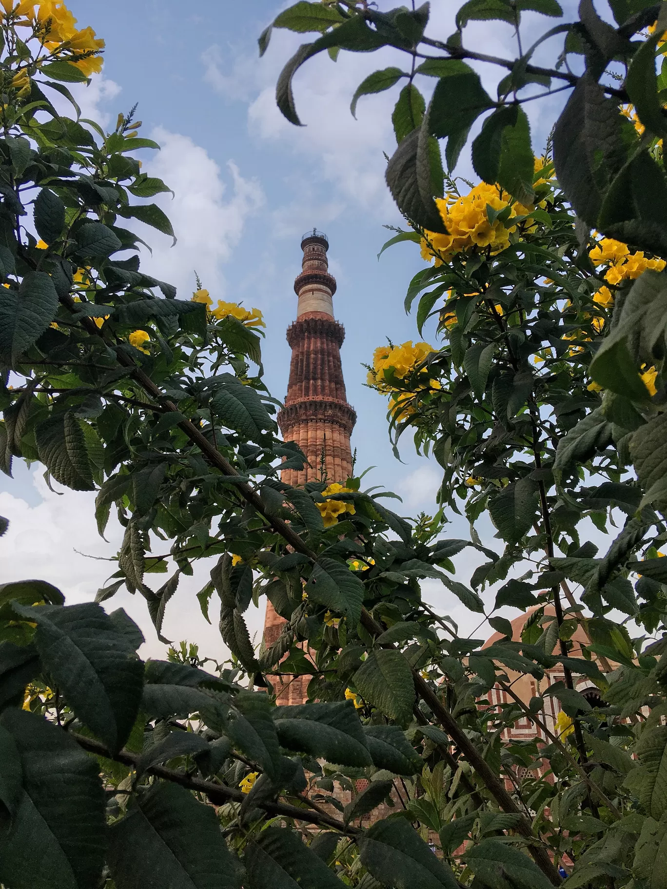 Photo of Qutub Minar By Mohammad Shoaib