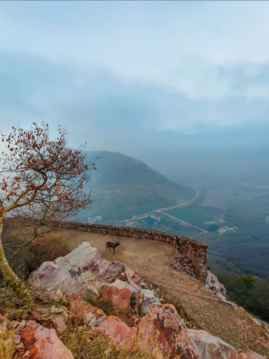 Photo of Sariska National Park By Suhail Rana | Traveler | India 🇮🇳