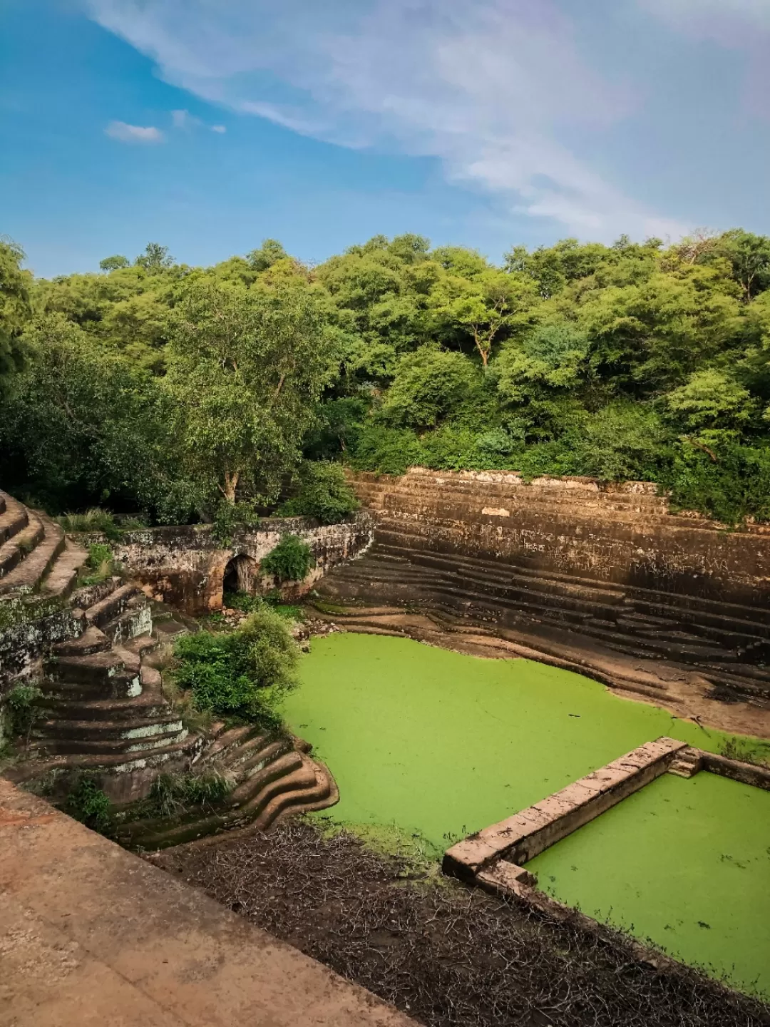 Photo of Sariska Tiger Reserve By Suhail Rana | Traveler | India 🇮🇳