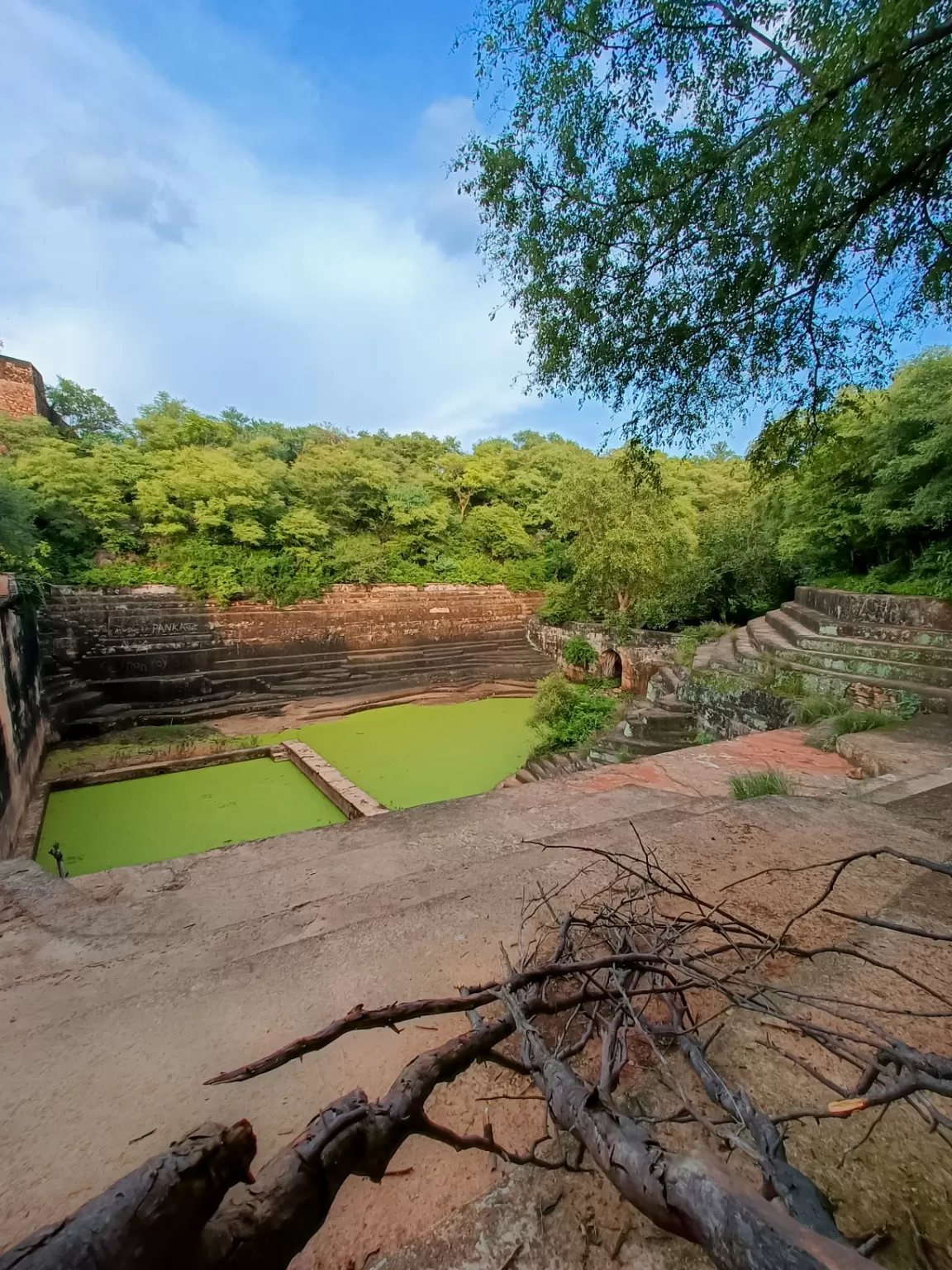 Photo of Sariska Tiger Reserve By Suhail Rana | Traveler | India 🇮🇳