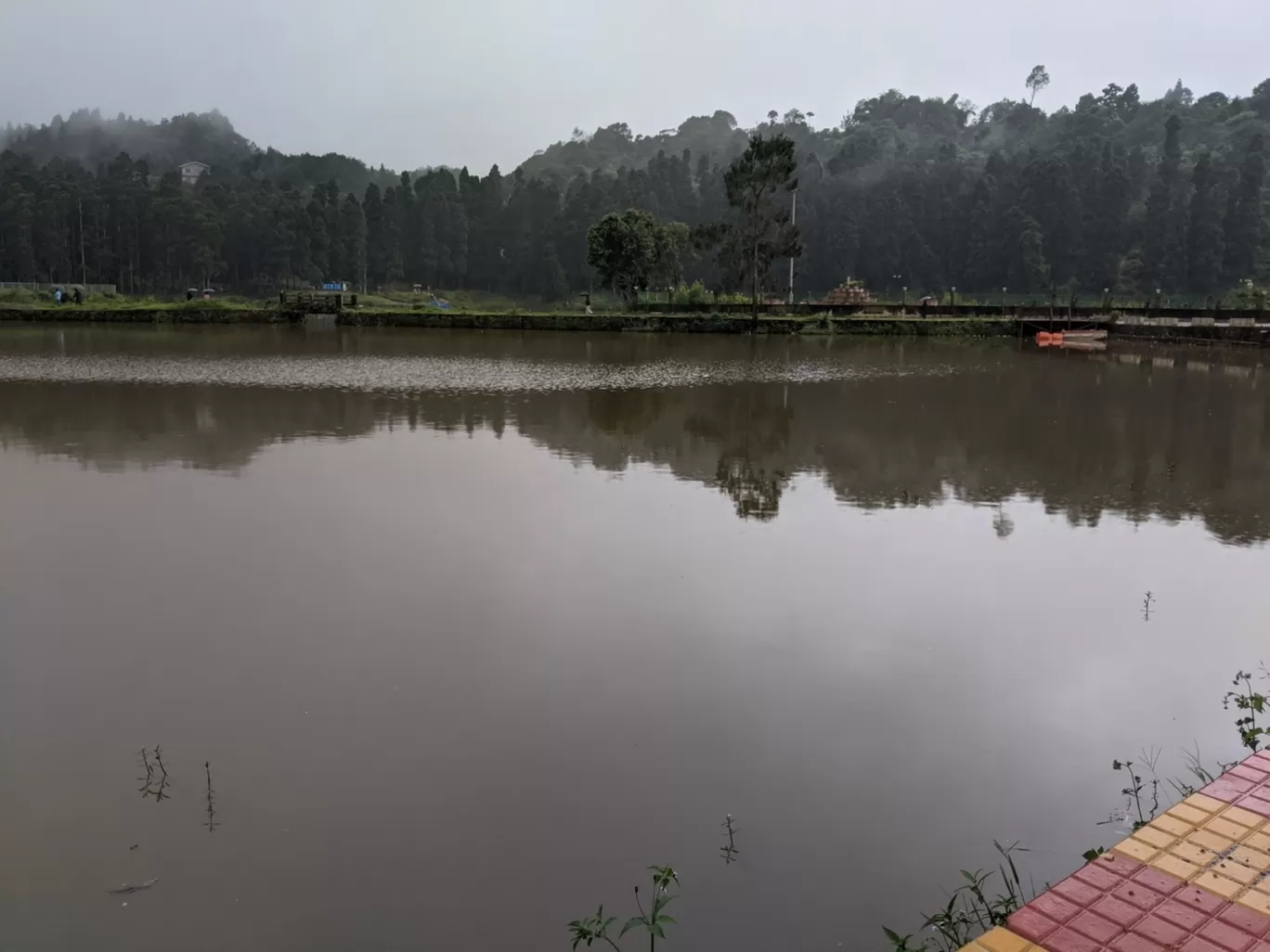 Photo of Mirik By Amber Anand