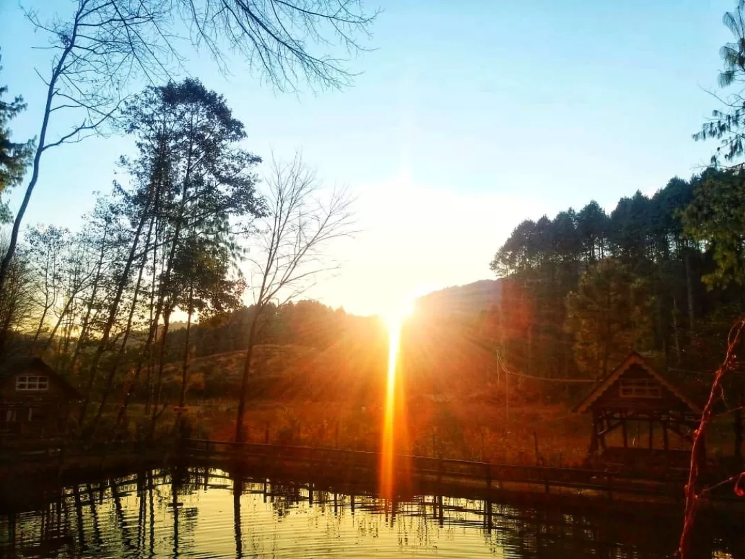 Photo of ZIRO VALLEY TOURISM - ARUNACHAL PRADESH By Jayanti Baidya