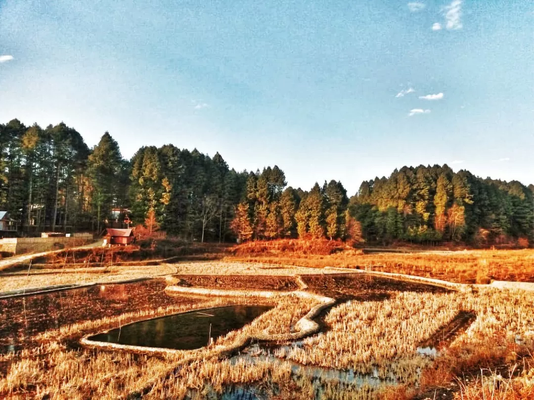 Photo of ZIRO VALLEY TOURISM - ARUNACHAL PRADESH By Jayanti Baidya