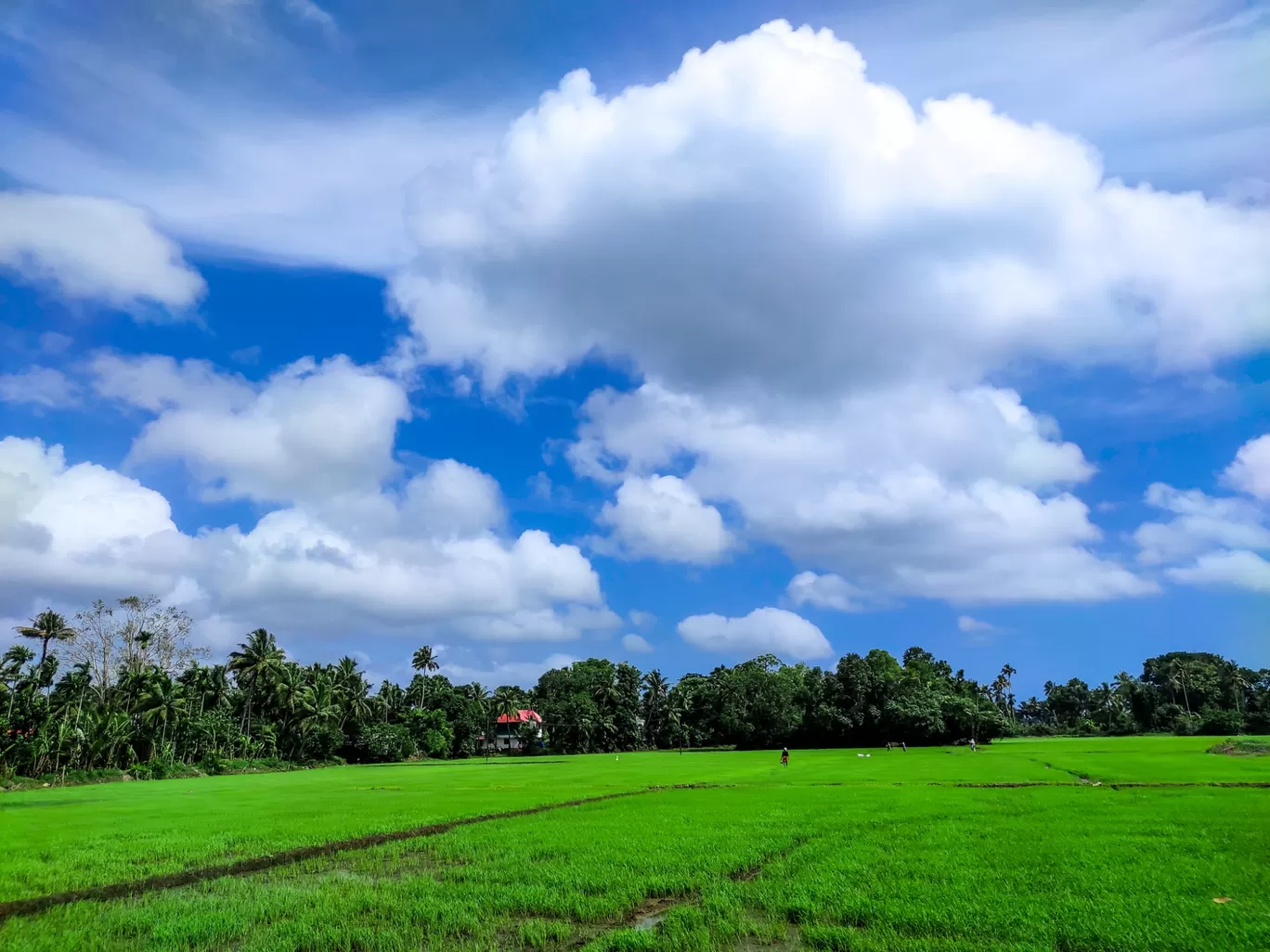 Photo of Alappuzha By Arun Kumar