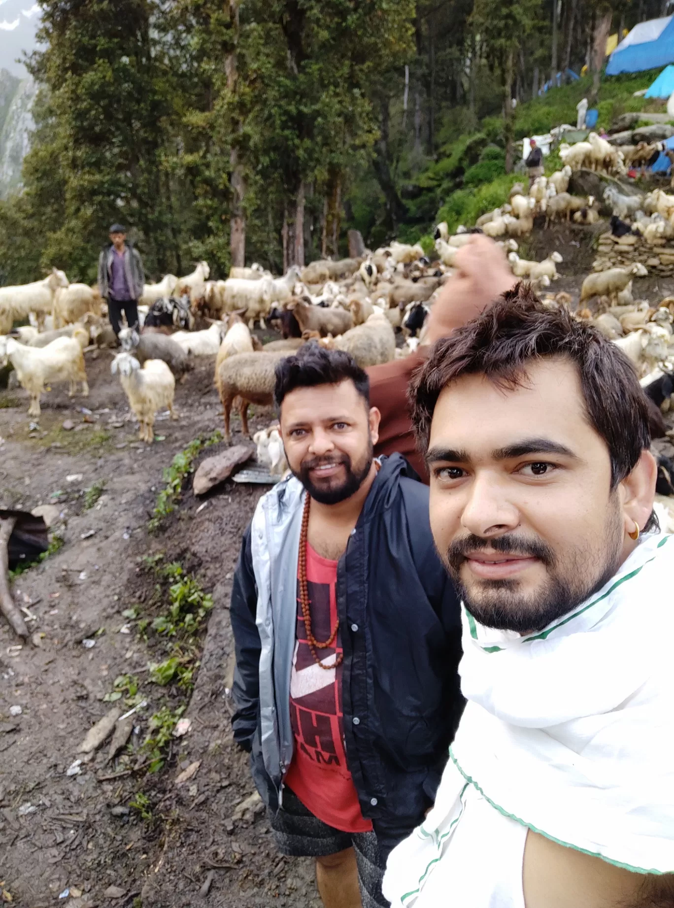 Photo of Narwalka By Suresh Narwal