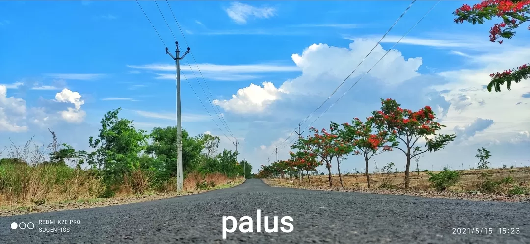 Photo of Palus By Sugendran Madathile Valappil