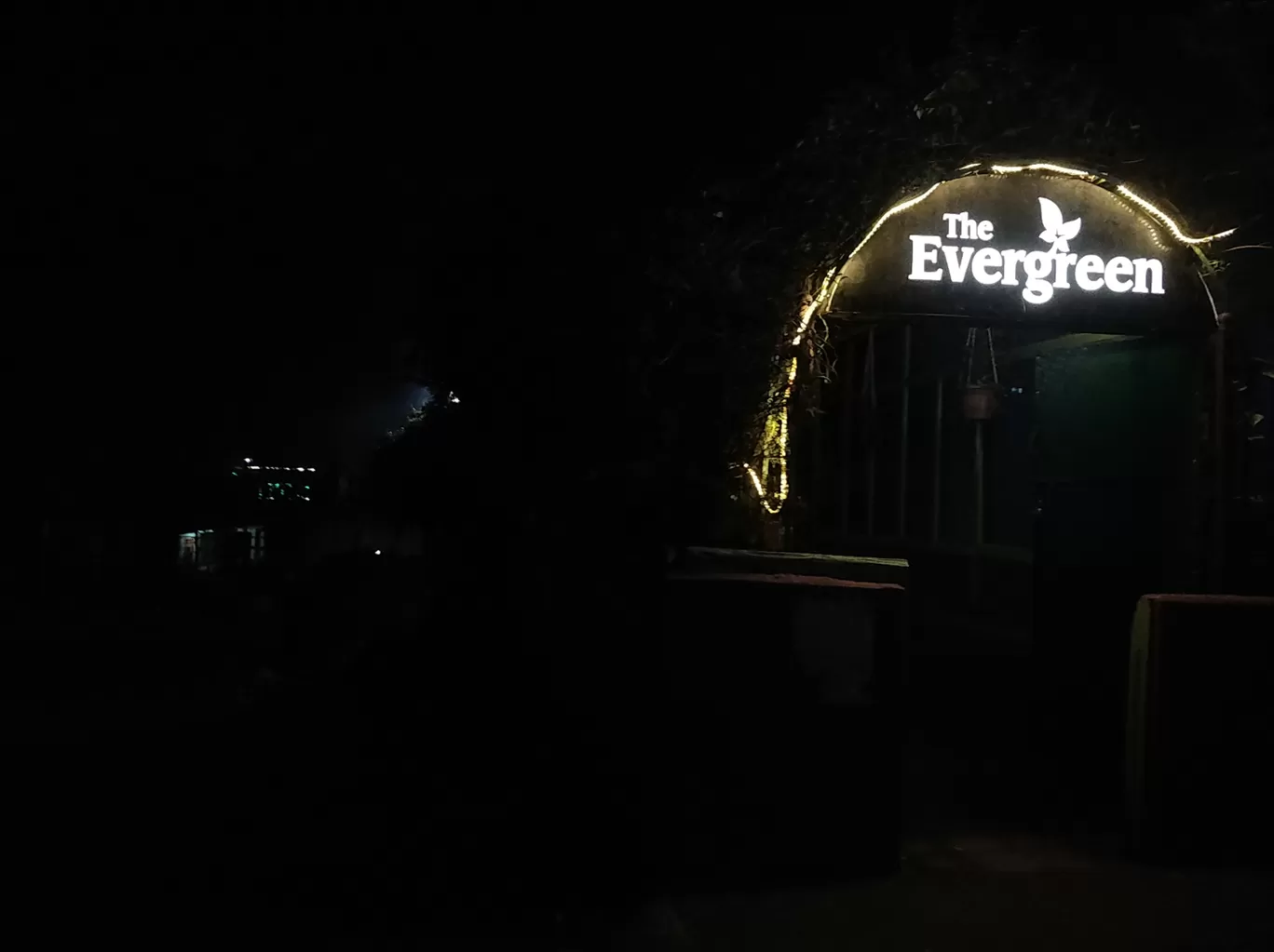 Photo of The Evergreen By Ankur Raj