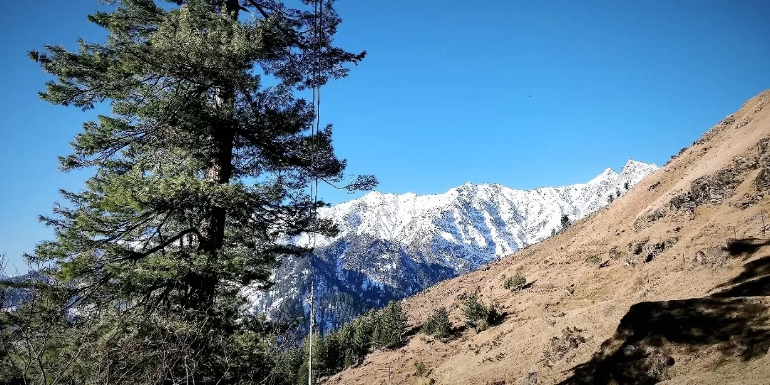 Photo of Gulaba By Ankur Raj