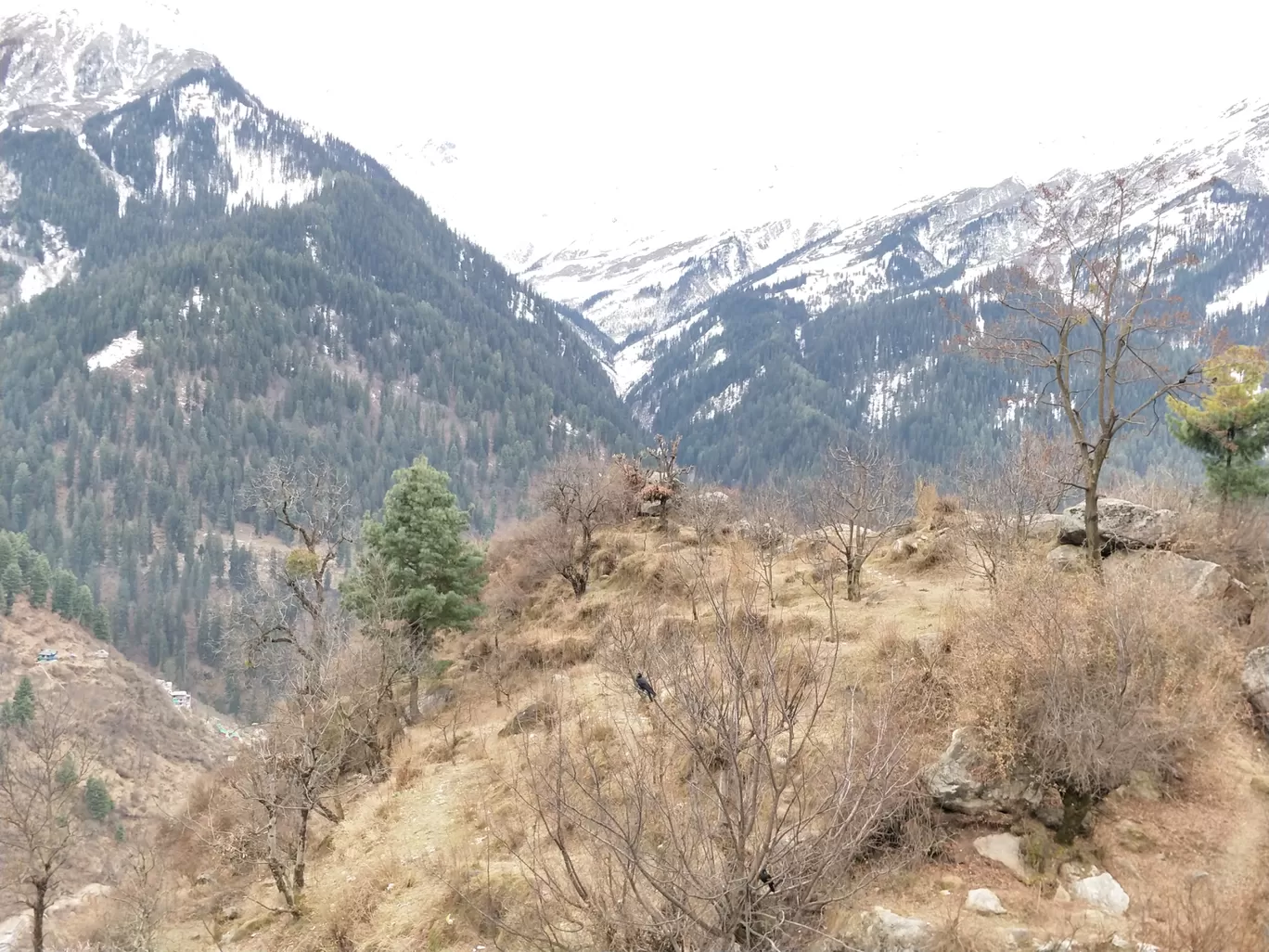 Photo of Tosh By Dushyant Singh