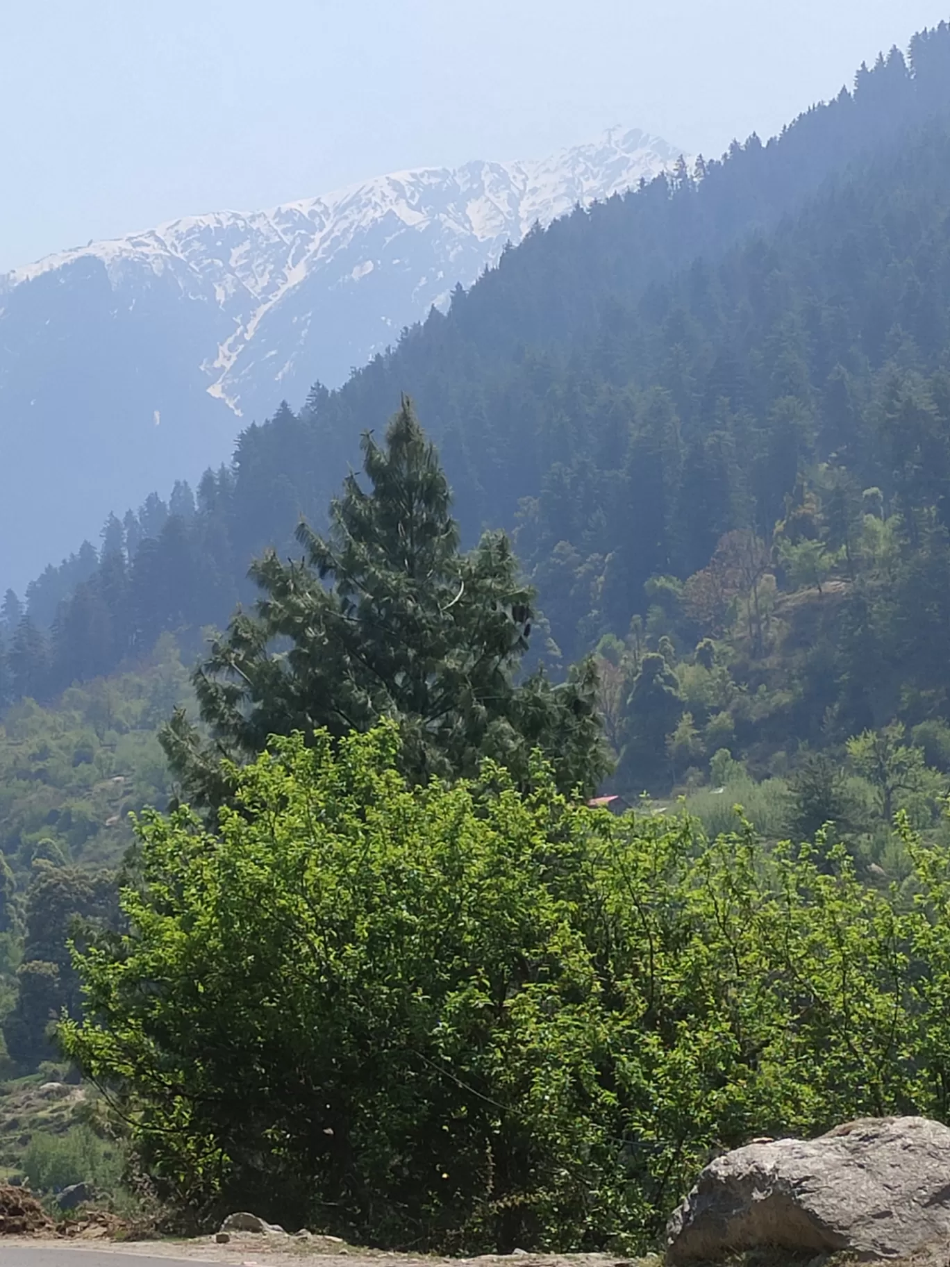 Photo of Manikaran By Avneesh Kaushik